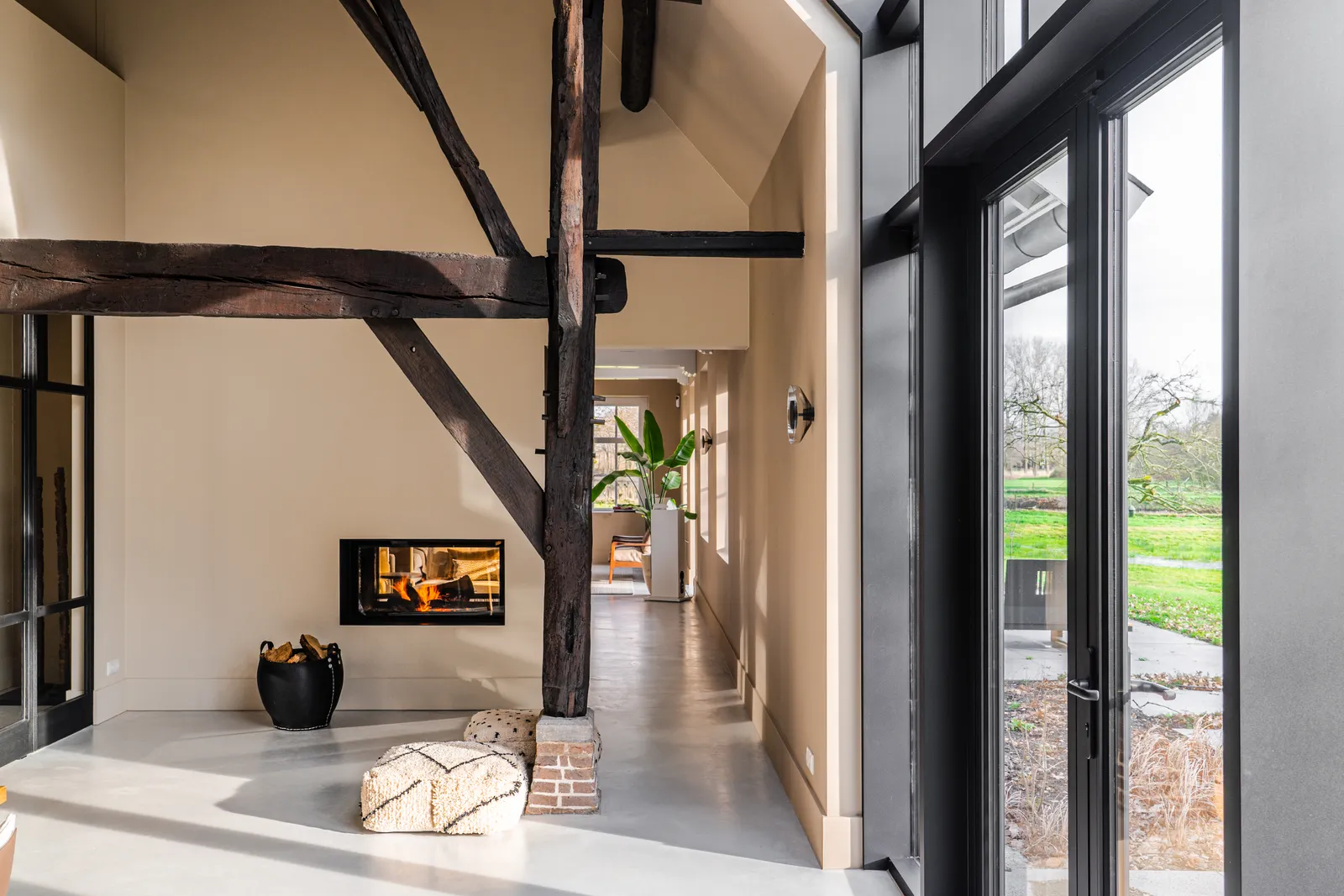 Lime Paint Colour Pure & Original