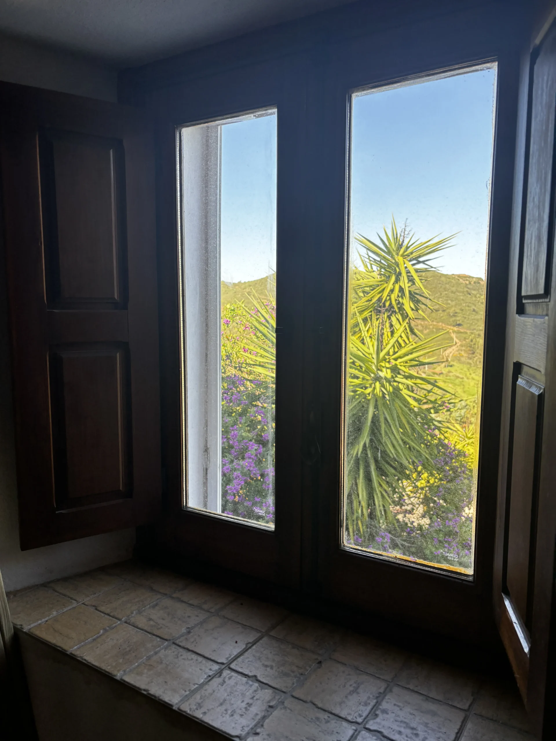 Garden view from a window